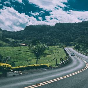 拔萝卜视频整容马赛克下载
