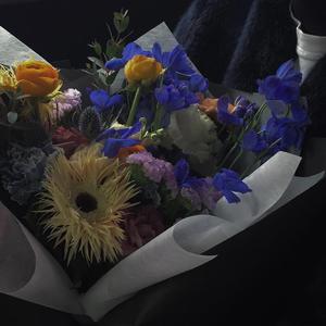 拔萝卜视频整容马赛克下载
